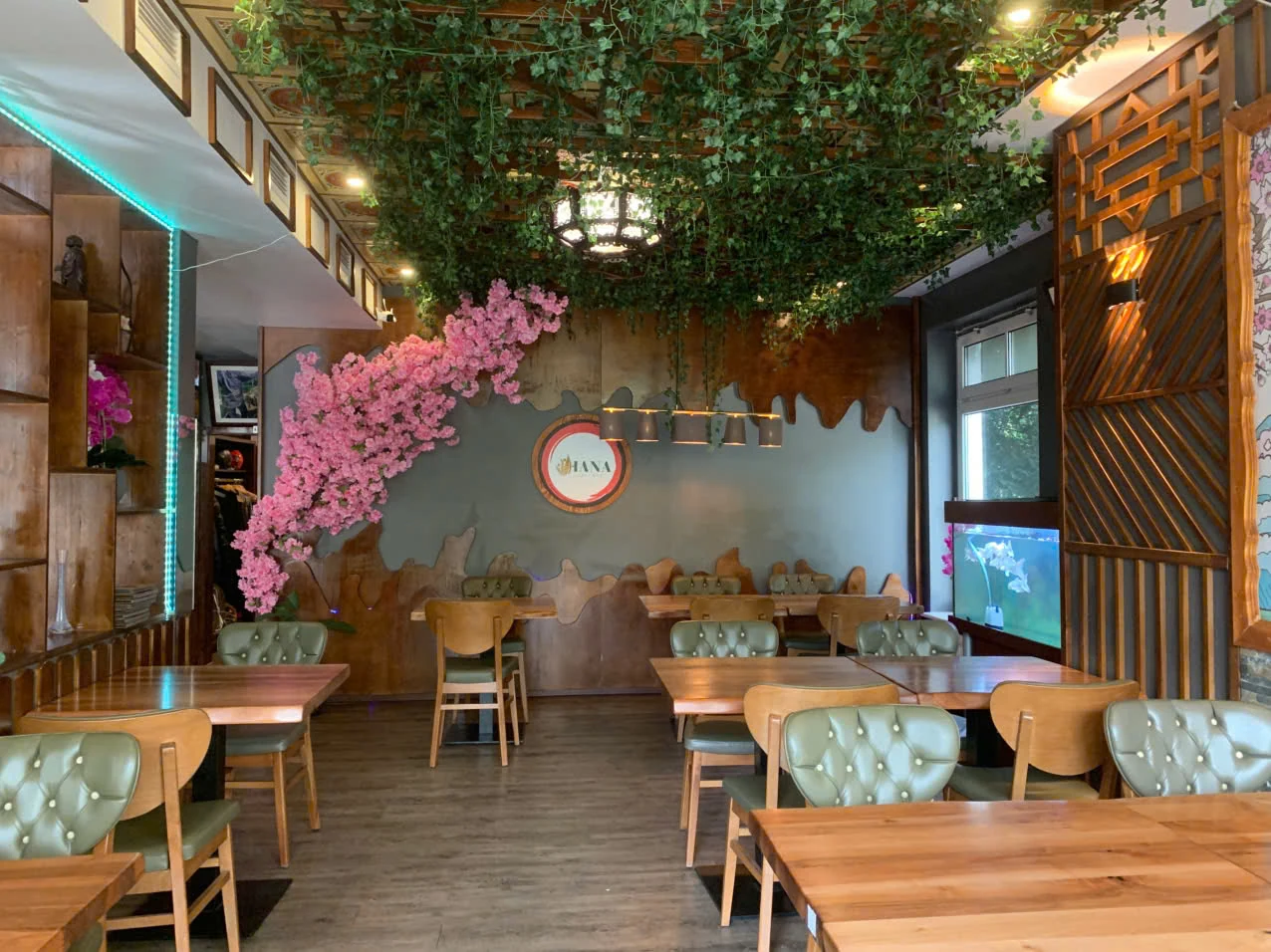 Gemütlicher Gastraum mit grüner Deckendekoration – HANA Japanisches Restaurant Olsberg