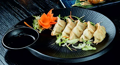 Gyoza aus der HANA Speisekarte